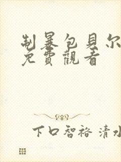 制暴包贝尔电影免费观看