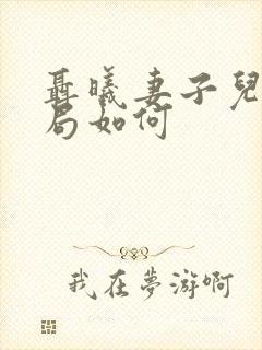 聂曦妻子儿女结局如何封面