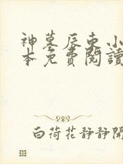神墓辰东小说全本免费阅读