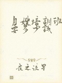 月嫂培训班一般要多少钱