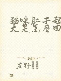 猫咪肚子起伏很大是怎么回事