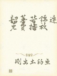 韶华若锦连续剧免费播放