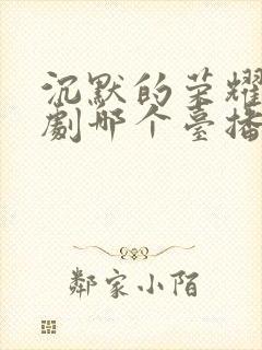 沉默的荣耀电视剧哪个台播放