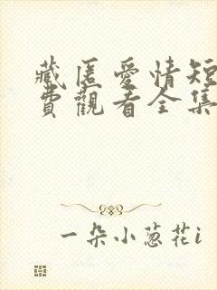 藏匿爱情短剧免费观看全集高清版