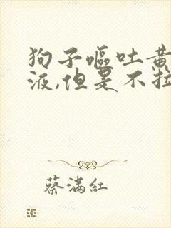 狗子呕吐黄色粘液,但是不拉稀封面