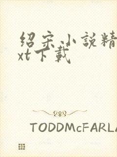 绍宋小说精校txt下载