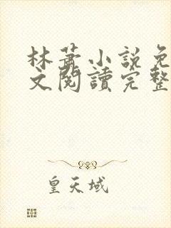 林萧小说免费全文阅读完整版