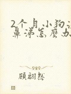 2个月小狗流黄鼻涕怎么办