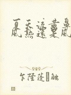 夏天流黄鼻涕是风热还是风寒