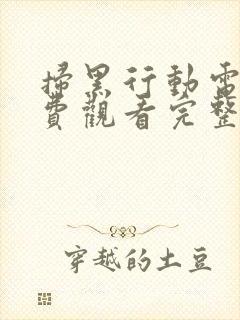 扫黑行动电影免费观看完整版策驰