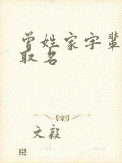 曾姓家字辈男孩取名