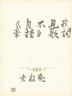 《月不见我心里牵挂》歌词