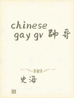chinese gay gv 帅哥