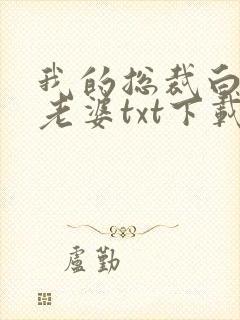 我的总裁白富美老婆txt下载