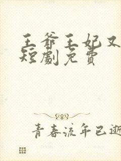 王爷王妃又演上短剧免费