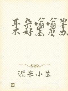 耳朵嗡嗡响睡眠不好怎么办