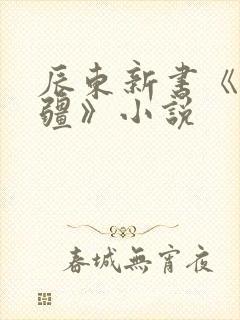 辰东新书《夜无疆》小说