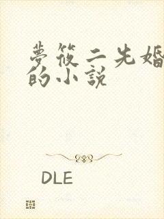 梦筱二先婚后爱的小说