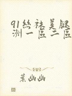 91丝袜美腿亚洲一区二区