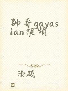 帅哥gayasian视频