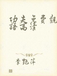 功夫免费观看国语高清