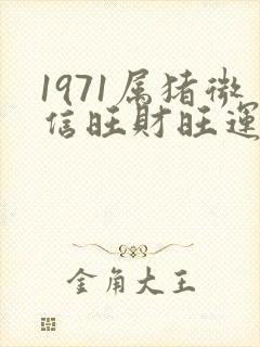 1971属猪微信旺财旺运头像