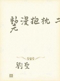 动漫抱枕 二次元