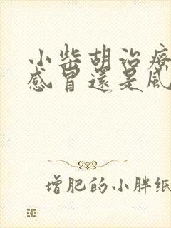 小柴胡治疗风热感冒还是风寒感冒