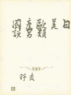 国产欧美日韩小说另类