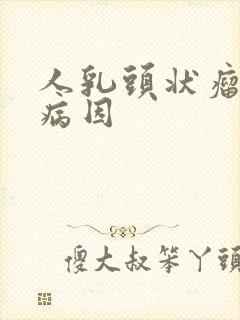 人乳头状瘤病毒病因