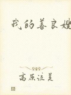 我的善良嫂子2封面