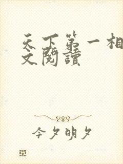 天下第一相书全文阅读