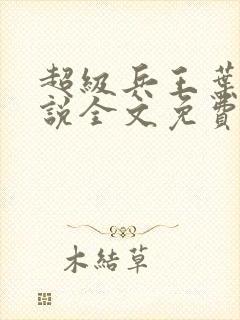 超级兵王叶谦小说全文免费阅读封面