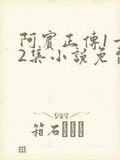 阿宾正传1一72集小说免费阅读