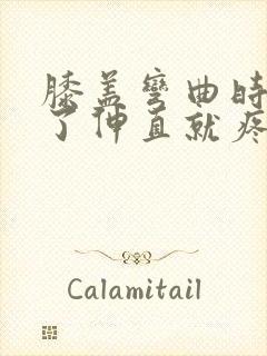 膝盖弯曲时间长了伸直就疼过会儿就好了