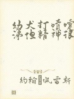 幼犬打喷嚏流鼻涕但精神很好封面