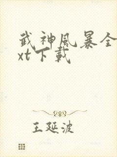 武神风暴全文txt下载封面