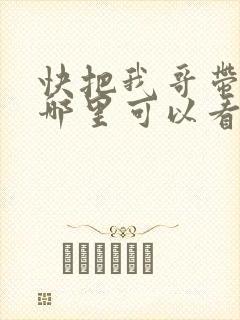 快把我哥带走在哪里可以看到