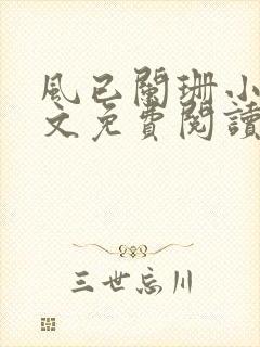 风已阑珊小说全文免费阅读最新章节