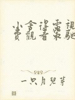 小舍得电视剧免费观看策驰