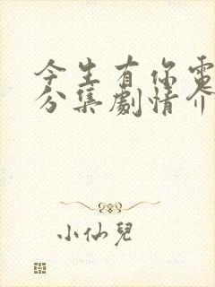 今生有你电视剧分集剧情介绍封面