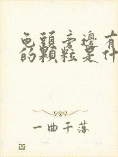 龟头旁边有白色的颗粒是什么