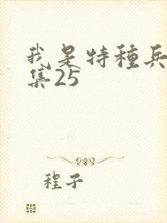 我是特种兵1全集25封面