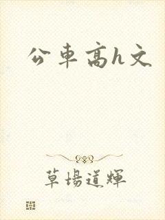 公车高h文