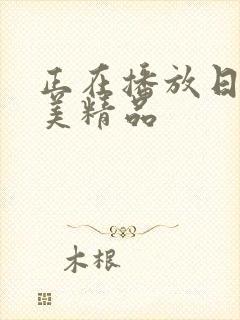 正在播放日韩欧美精品