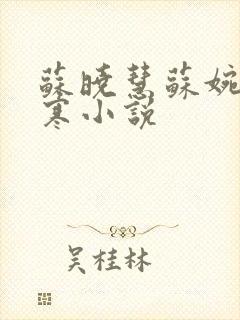 苏晓慧苏婉霍枭寒小说