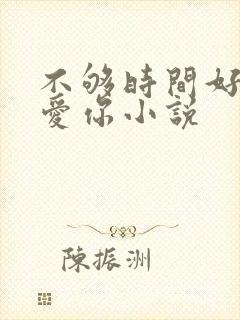 不够时间好好来爱你小说