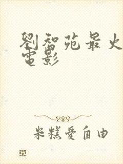 刘智苑最火十部电影