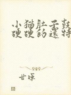 小猫肚子鼓鼓的硬硬的还特别能吃