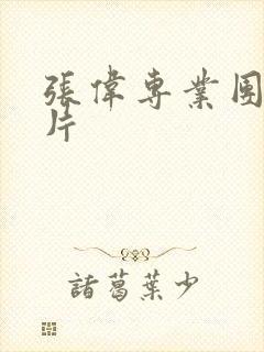 张伟专业团队照片